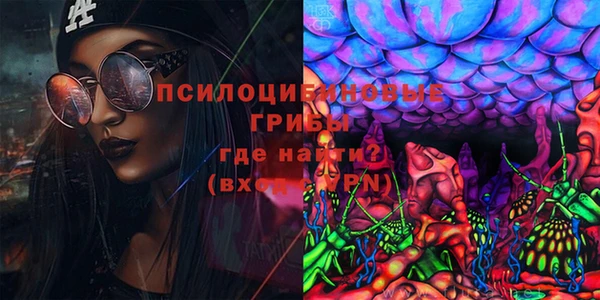 2c-b Алексин