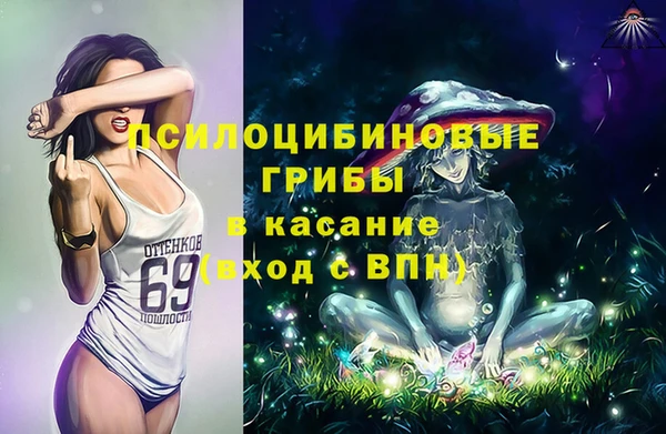 2c-b Алексин